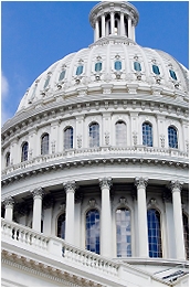 dm-t_left_images_capital.jpg
